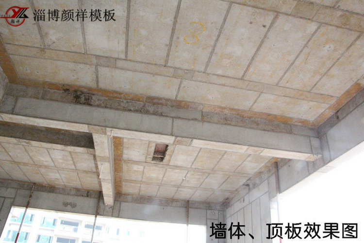 墻體、頂板效果圖